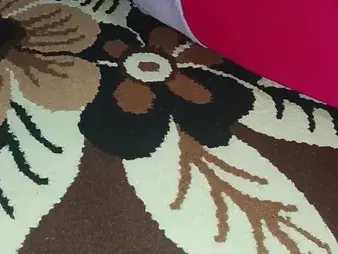 Indian Bhabhi gets the brush good-sized bootie gobbled hither Desi BBM vid